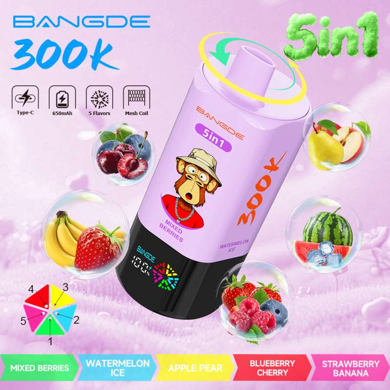 BANG DE 300K 11