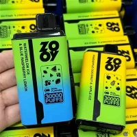 Twins Zooy 30000 puffs