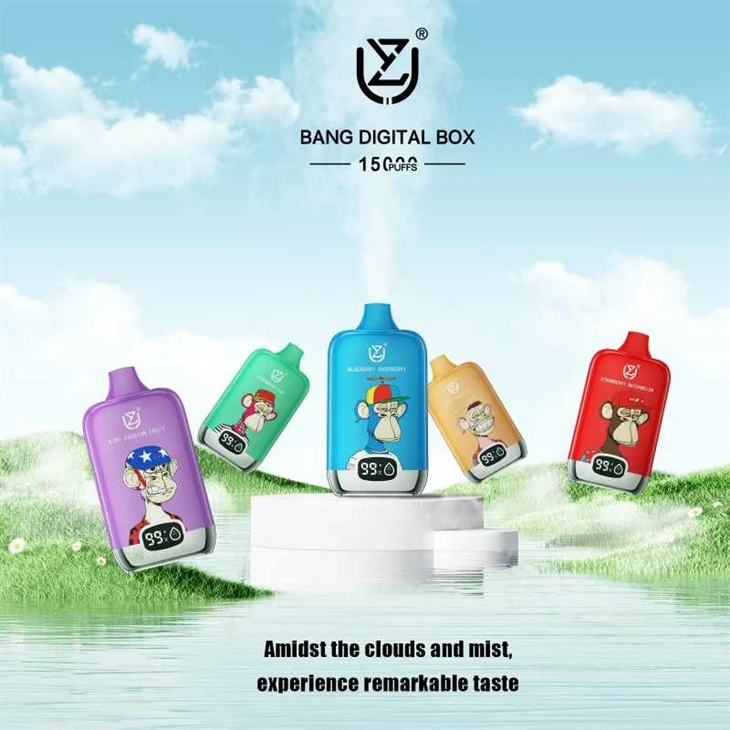 BOSCA DIGITEACH UZY BANG 15000